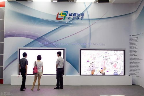 網絡技術服務行業 四家市值偏低的優秀企業，誰將成為下一只茅臺？